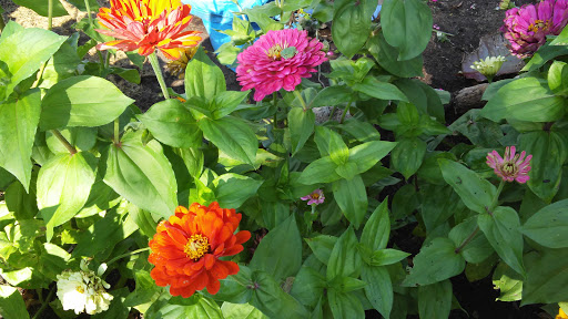 Country Club «Oak Ridge Country Club», reviews and photos, 700 Oak Ridge Rd, Hopkins, MN 55305, USA