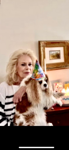 Pet Supply Store «Natural Pet Specialty Shop», reviews and photos, 398 N Harbor City Blvd, Melbourne, FL 32935, USA