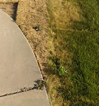 J & J Auto Trim - Photo 2 - Car repair in Clovis, CA, Clovis