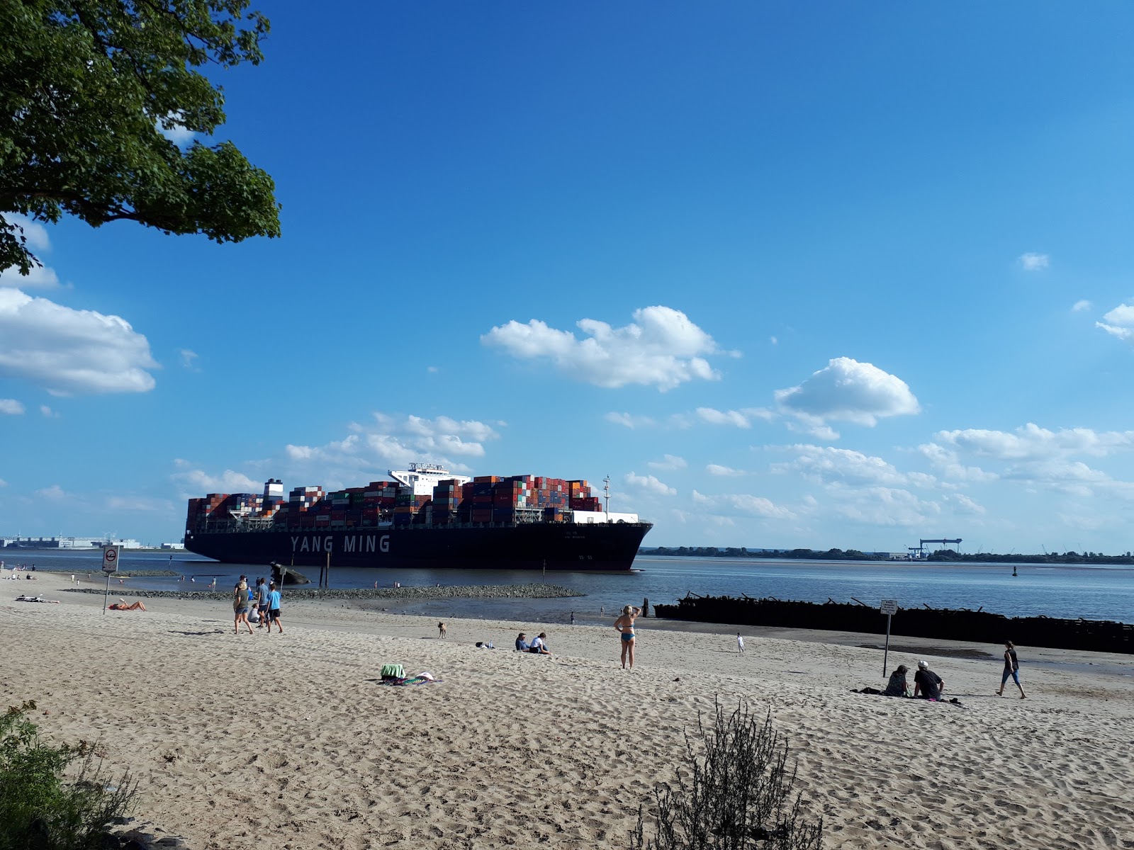 Elbstrand Blankenese'in fotoğrafı - rahatlamayı sevenler arasında popüler bir yer