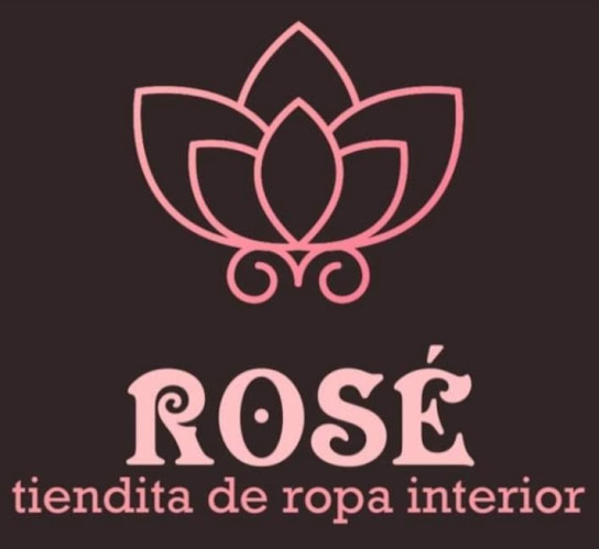 Opiniones de ROSÉ tiendita de ropa interior en Paine - Tienda de ropa