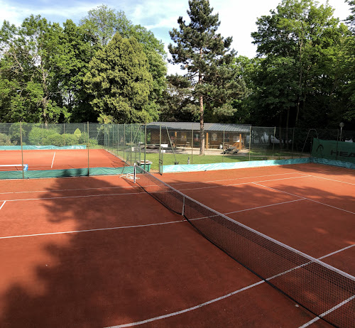 Court de tennis Tennis Club des Granges du Barry Louveciennes Louveciennes