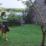 Photo n°9 de l'avis de valentina.i fait le 21/08/2021 à 19:14 sur le  Casone Maranghetto à Concordia Sagittaria