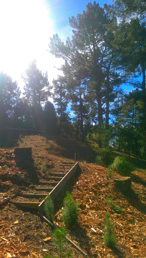 Nature Preserve «Leona Canyon Regional Open Space Preserve», reviews and photos, Leona Trail, Oakland, CA 94605, USA