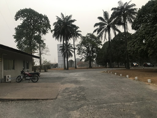 IITA Ibadan, PMB 5320 Oyo Road, 200285, Ibadan, Nigeria, Resort, state Oyo