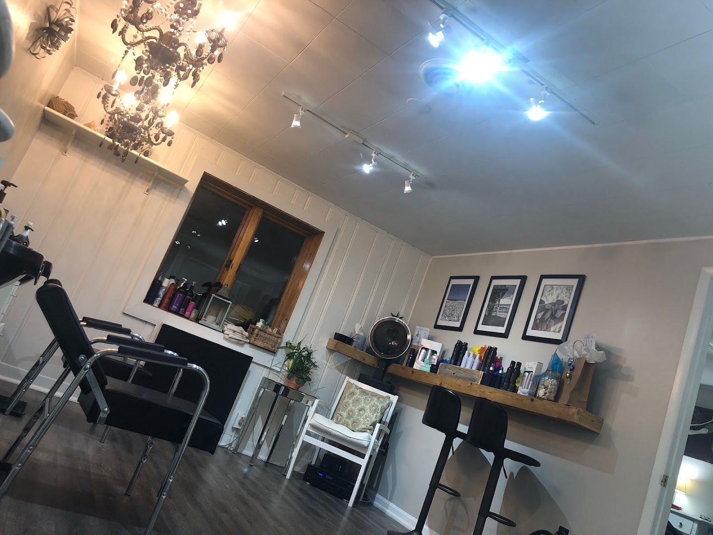 Untamed Hair Studio