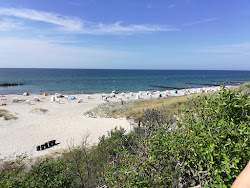 Wellenbrecher Ahrenshoop Strand'in fotoğrafı çok temiz temizlik seviyesi ile
