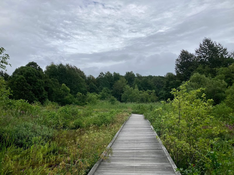 平岡公園 人工湿地