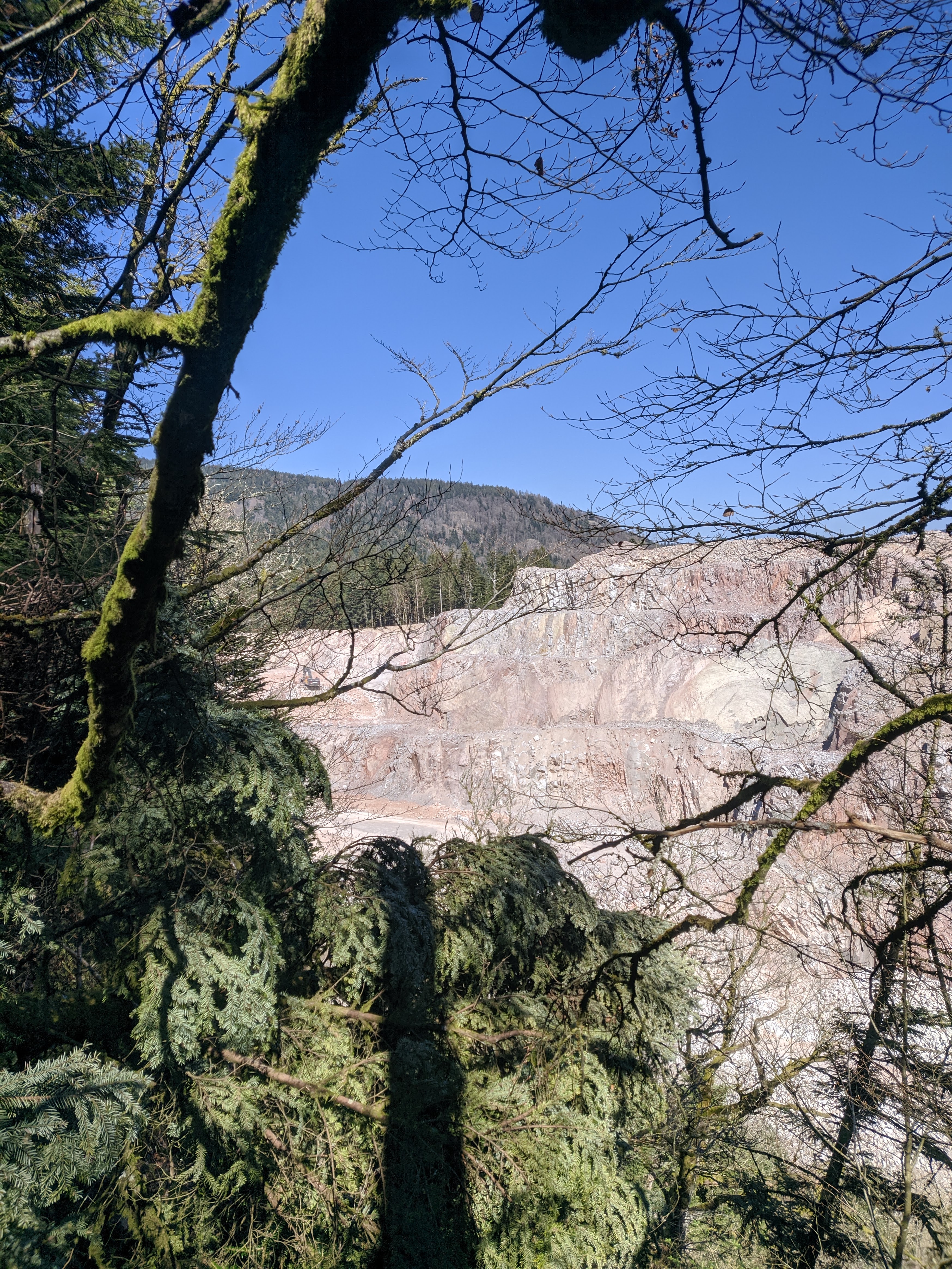 Photo n° 1 de l'avis de Antoine.a fait le 01/04/2020 à 13:24