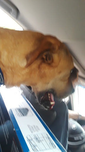 Pet Supply Store «Rosedale Mills», reviews and photos, 101 NJ-31, Pennington, NJ 08534, USA