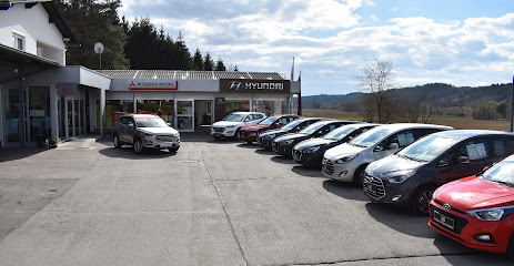 Hyundai-Partner Autohaus Nikles GmbH