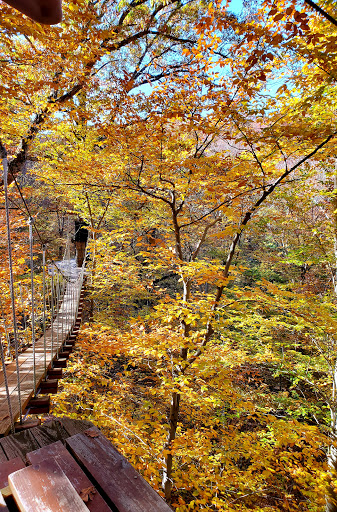 Tourist Attraction «ZipZone Canopy Tours», reviews and photos, 7925 N High St, Columbus, OH 43235, USA