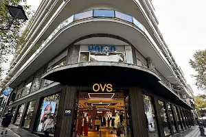 OVS image