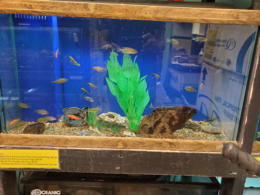 Pet Store «Pet Zone», reviews and photos, 8925 Jewella Ave #4, Shreveport, LA 71118, USA