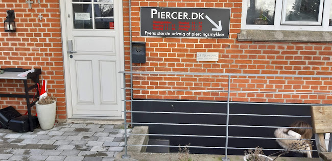 Piercer.dk - Odense