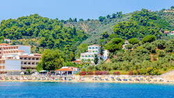 Foto di Spiaggia di Achladies e l'insediamento