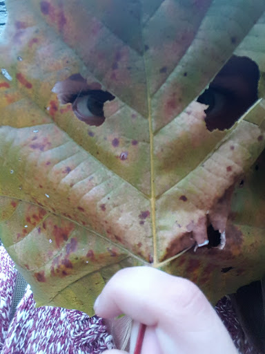 Golf Course «City of Dayton Golf», reviews and photos, 2917 Berkley St, Dayton, OH 45409, USA