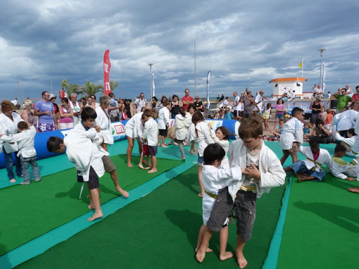 Hungarian Judo Association