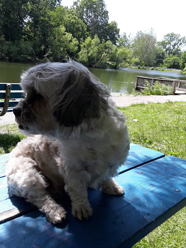 City Park «Krannert Park», reviews and photos, 605 South High School Road, Indianapolis, IN 46241, USA