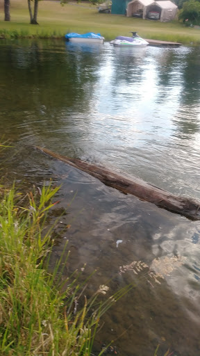 Golf «Tapps Island Golf Course», reviews and photos, 20818 Island Pkwy E, Lake Tapps, WA 98391, USA