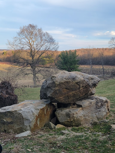 Vineyard «The Winery at Wolf Creek», reviews and photos, 2637 S Cleveland Massillon Rd, Barberton, OH 44203, USA