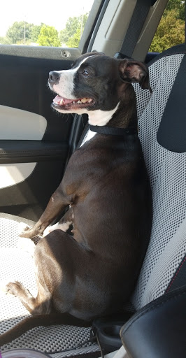 Pet Supply Store «Pet Supplies Plus», reviews and photos, 5161 Gull Rd, Kalamazoo, MI 49048, USA