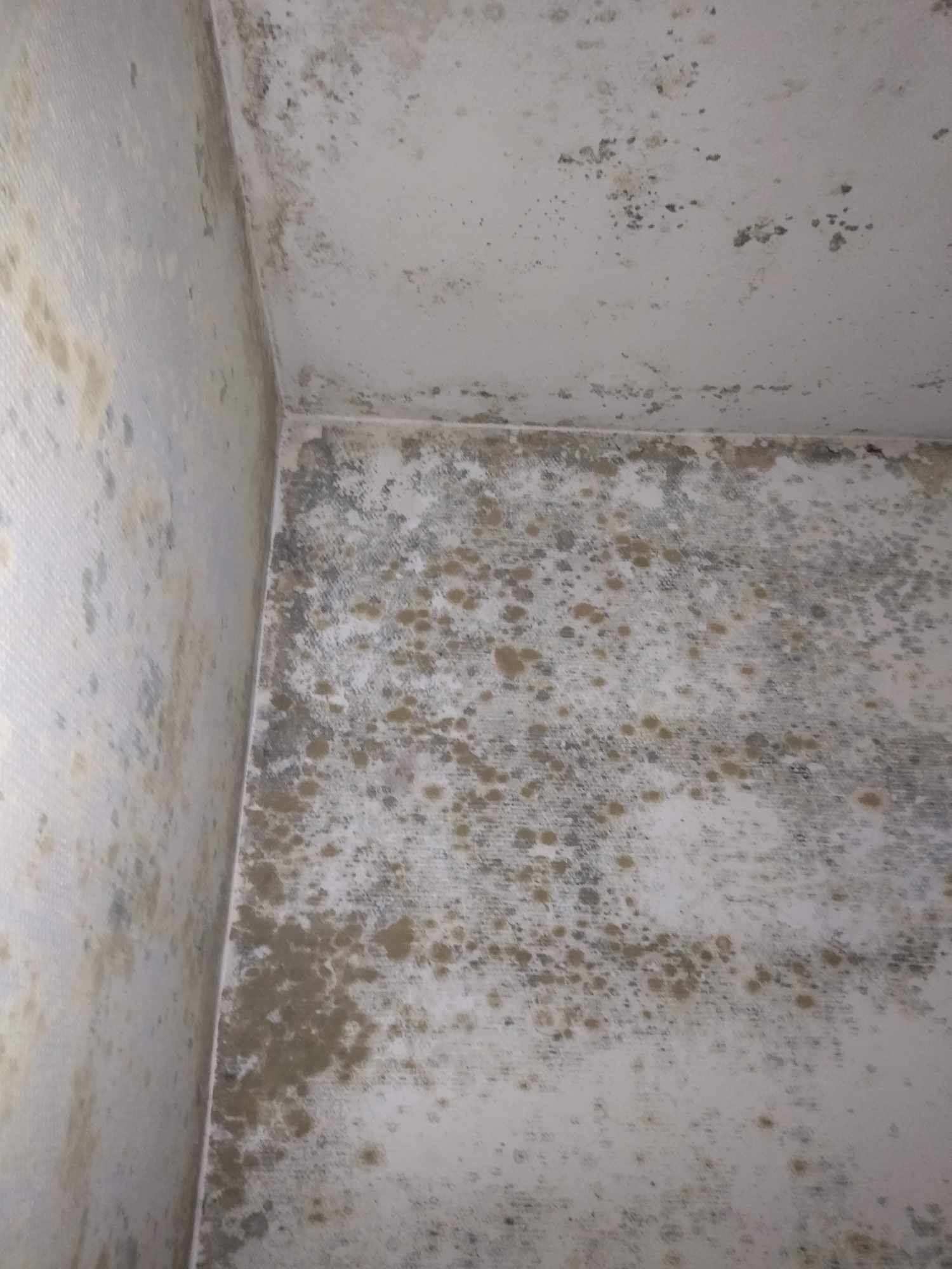 Photo n° 1 de l'avis de Arnaud.O fait le 14/02/2024 à 14:57