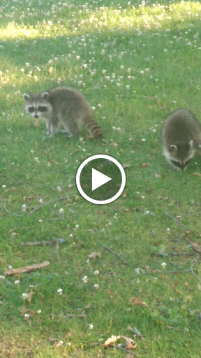 Golf Course «University Park Golf Course», reviews and photos, 2100 Marquette Ave, Muskegon, MI 49442, USA