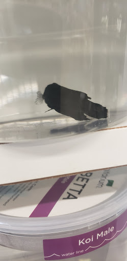 Pet Supply Store «Petco Animal Supplies», reviews and photos, 6025 Kruse Dr #159, Solon, OH 44139, USA