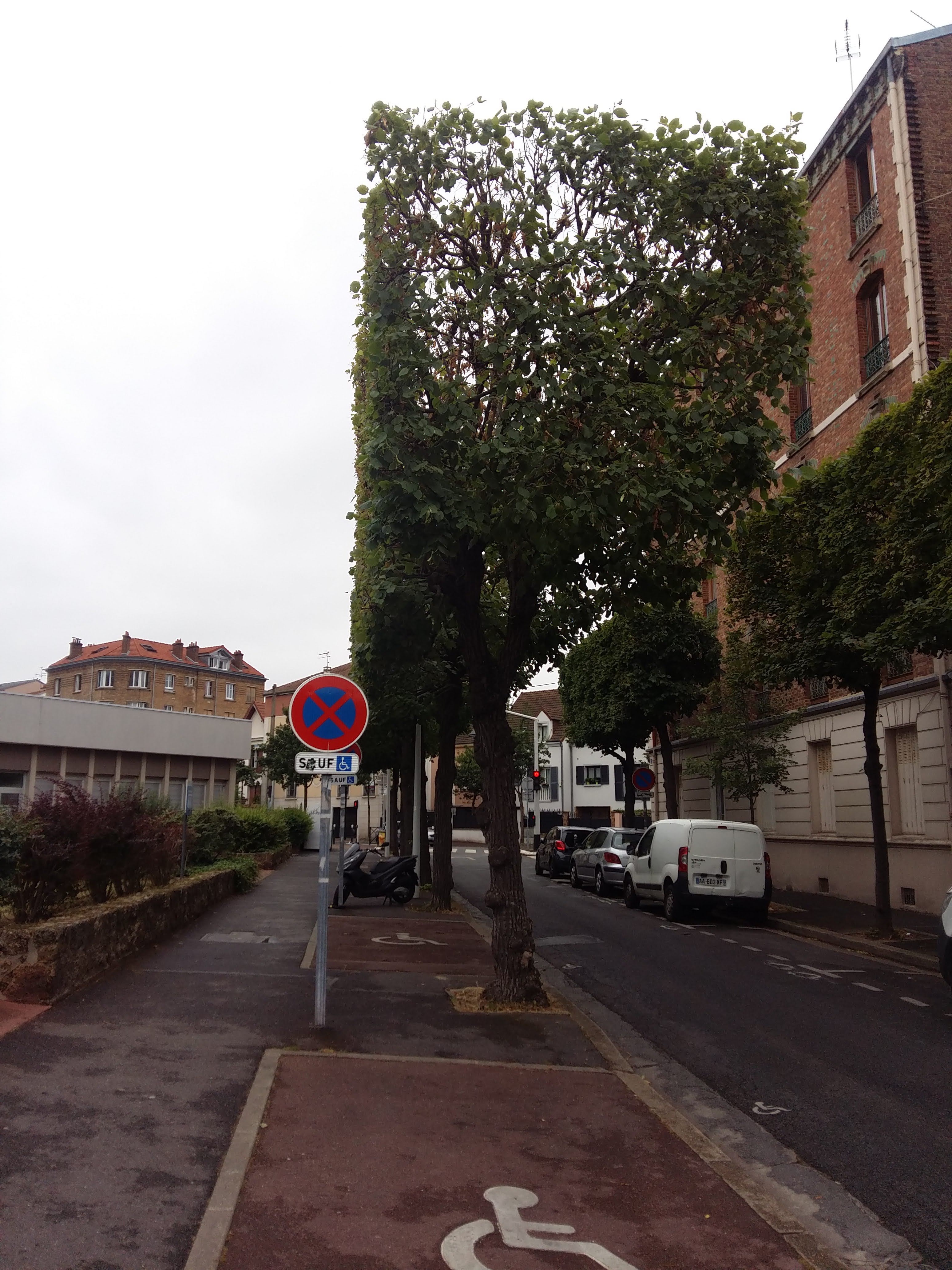 Photo n° 1 de l'avis de john.c fait le 23/06/2022 à 16:43