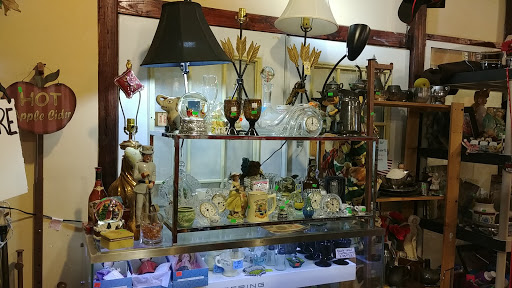 Thrift Store «Thrifty Nickel Tampa Thrift Store Re-Sale», reviews and photos, 7706 W Hillsborough Ave, Tampa, FL 33615, USA