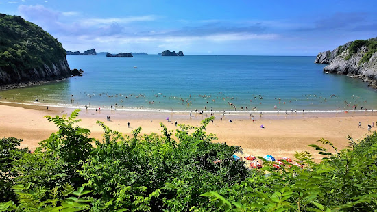 Cat Co 1 Beach