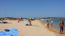Spiaggia di Porto Pollo'in fotoğrafı imkanlar alanı