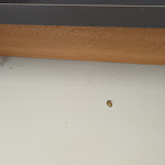 Photo n°2 de l'avis de Mari.i fait le 04/06/2023 à 16:46 sur le  Hotel Europa à Giulianova