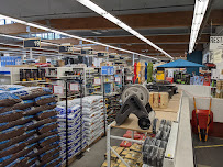 Pearl ACE Hardware - Photo 8 - Car repair in Portland, OR, Portland