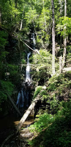 Park «Constitution Park», reviews and photos, Fletcher Ave & Lewis St, Fort Lee, NJ 07024, USA