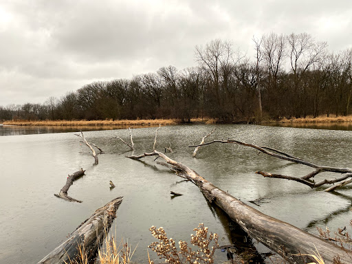 Nature Preserve «Penny Road Pond», reviews and photos, Penny Rd, Barrington, IL 60010, USA