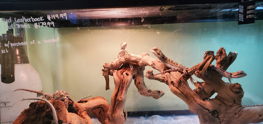 Pet Store «Animal Ark Pet Stores», reviews and photos, 33 Center St, Orem, UT 84057, USA