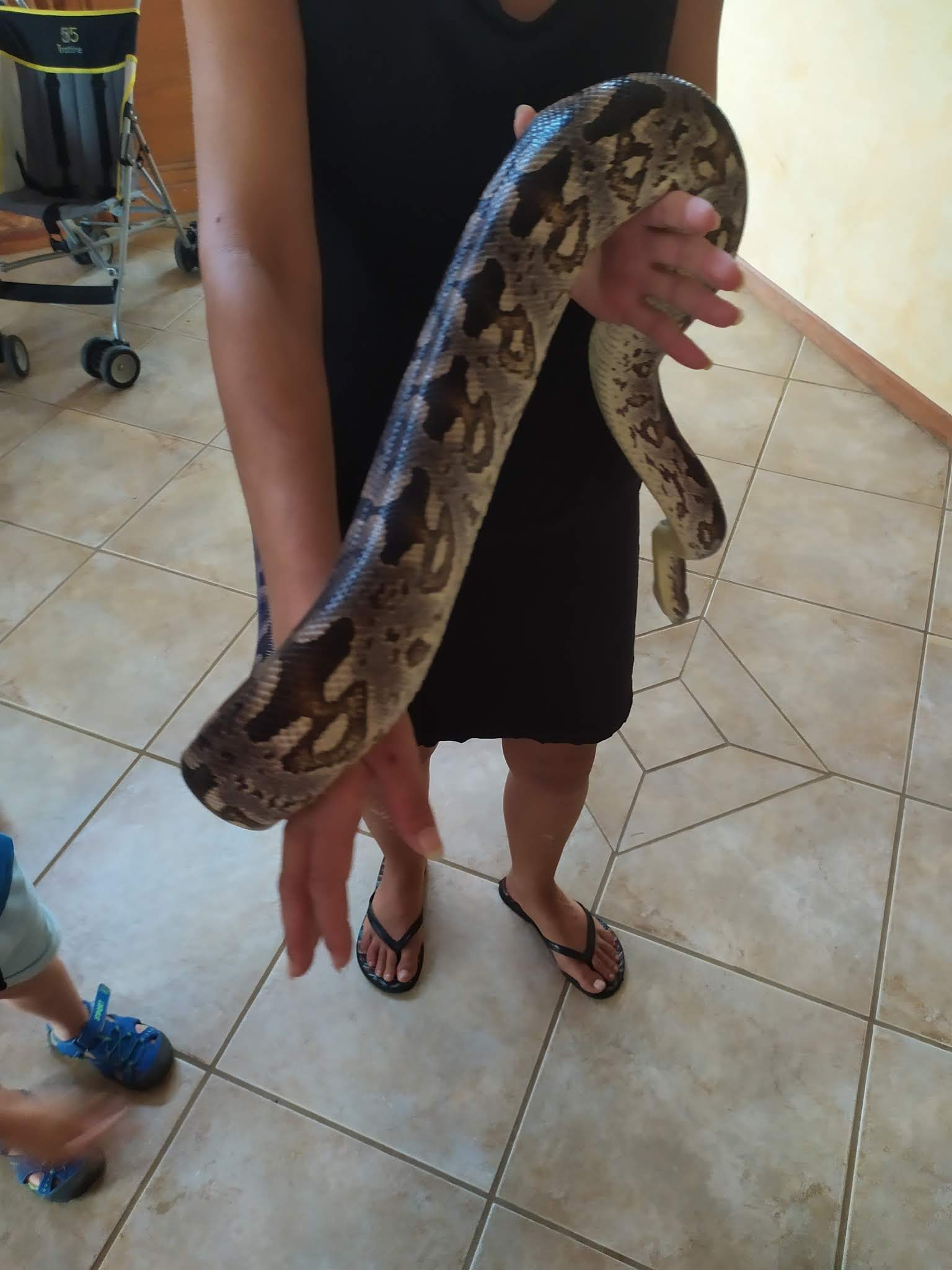 Photo n° 2 de l'avis de Ronde.t fait le 30/12/2019 à 17:38