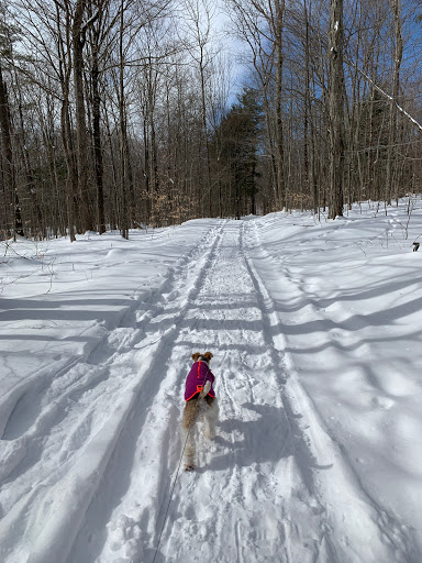 Winery «Furnace Brook Winery», reviews and photos, 508 Canaan Rd, Richmond, MA 01254, USA