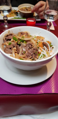 Nouille du Restaurant vietnamien Indochine 45 à Saint-Jean-de-la-Ruelle - n°15