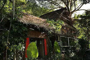 Rainforest Tree House image