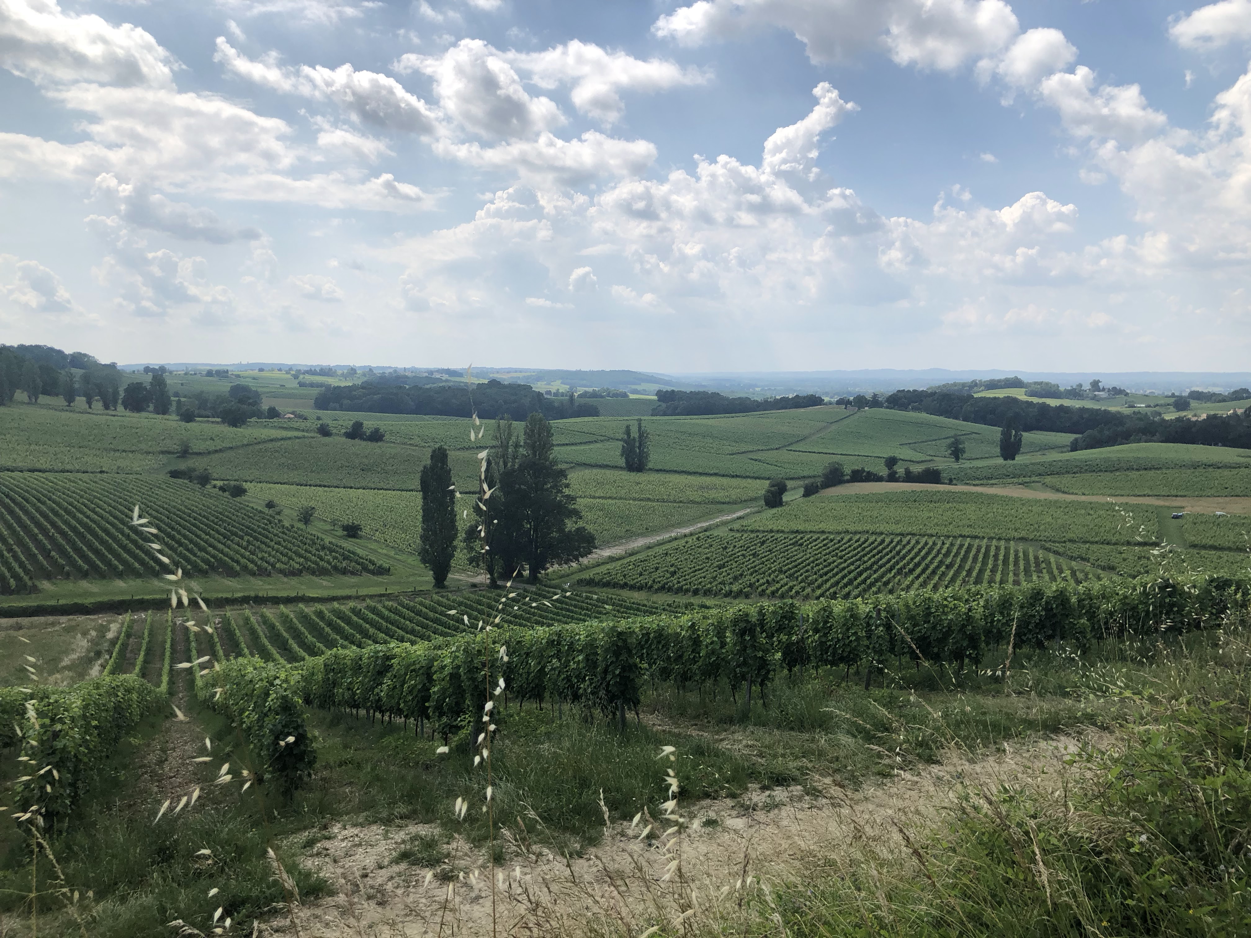 Photo n° 4 de l'avis de Jonty.a fait le 22/06/2018 à 20:36