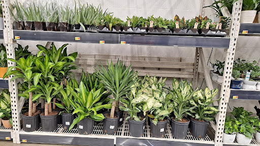 Walmart Garden Center