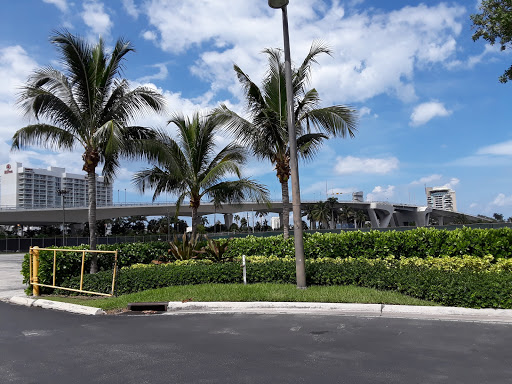 Tourist Attraction «Water Taxi Stop #5», reviews and photos, 1881 SE 17th St, Fort Lauderdale, FL 33316, USA