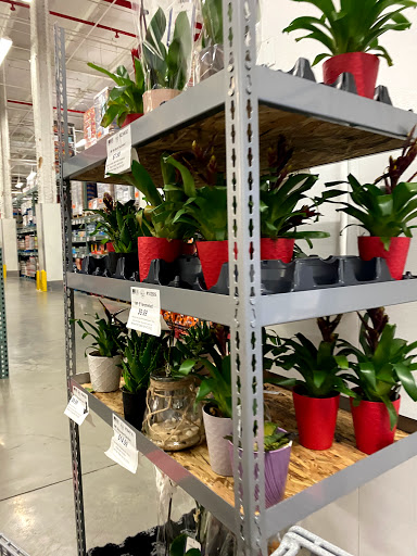 Warehouse club «BJ’s Wholesale Club», reviews and photos, 66-26 Metropolitan Ave, Middle Village, NY 11379, USA