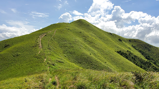 Lam Tsuen Country Park