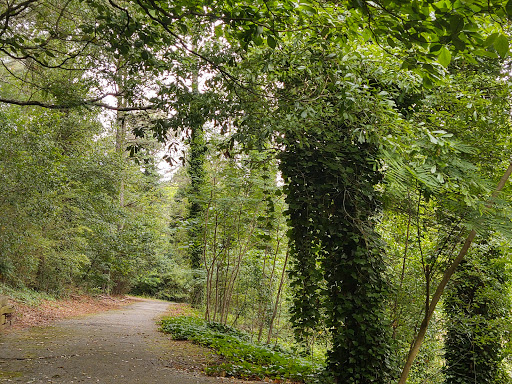 Park «Alexander Park», reviews and photos, 300 Atlanta St, McDonough, GA 30253, USA