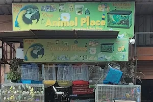 Khan's Animal Place image