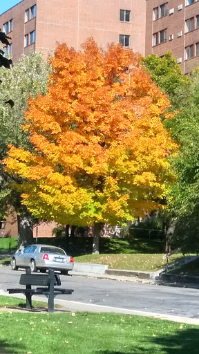 Park «Akin Riverside Park», reviews and photos, 1721 River Ave, Anoka, MN 55303, USA